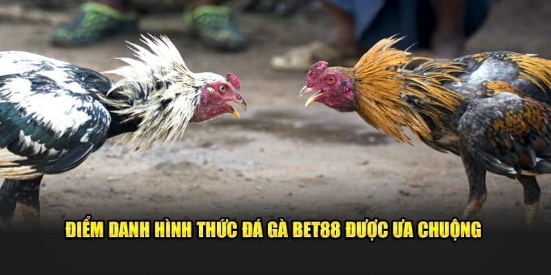 Các tựa game đá gà được yêu thích tại BET88
