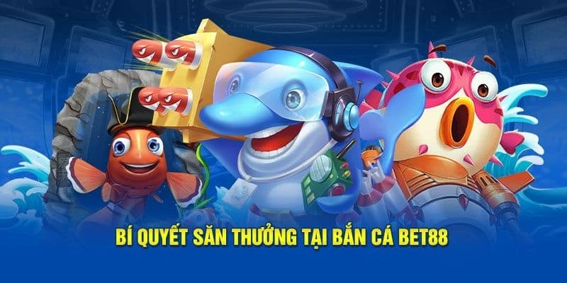 Kinh nghiệm săn cá nhận quà cực đỉnh