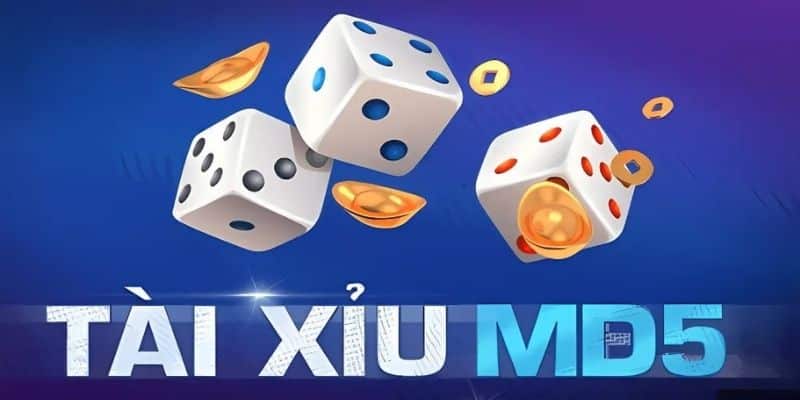 Mẹo Đánh Tài Xỉu MD5